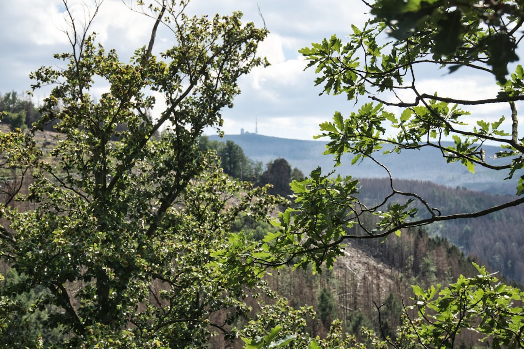 Land for homesteading in Alaska