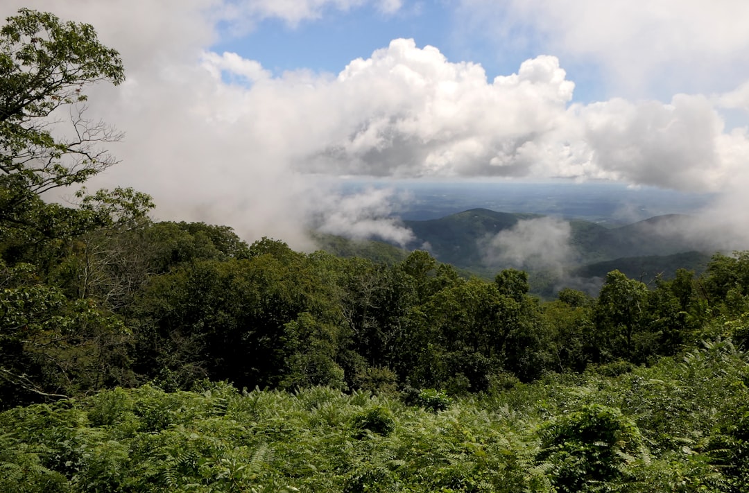 Selling mountain land in Oregon