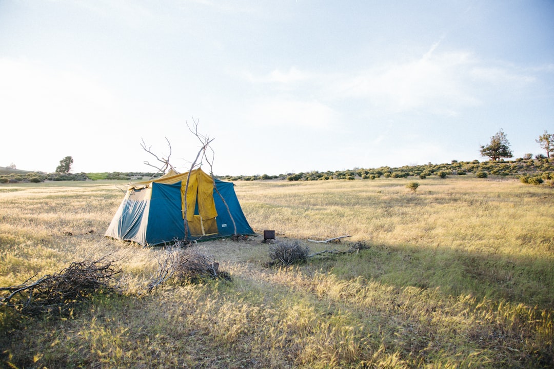 Selling grassland in Iowa