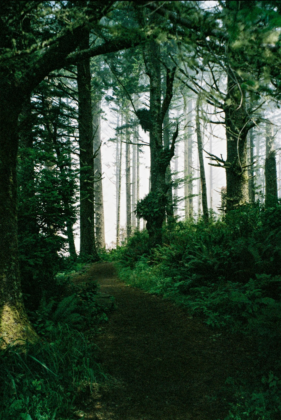 Selling mountain land in Oregon