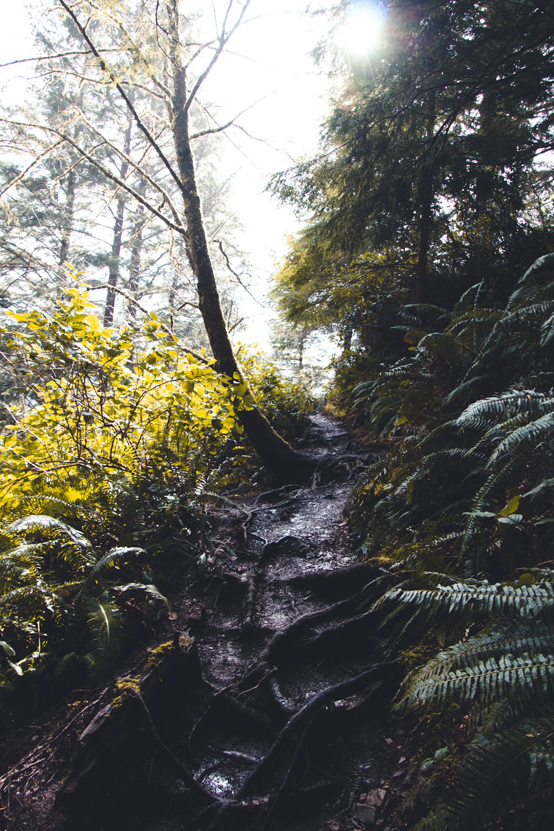 Selling land in Oregon