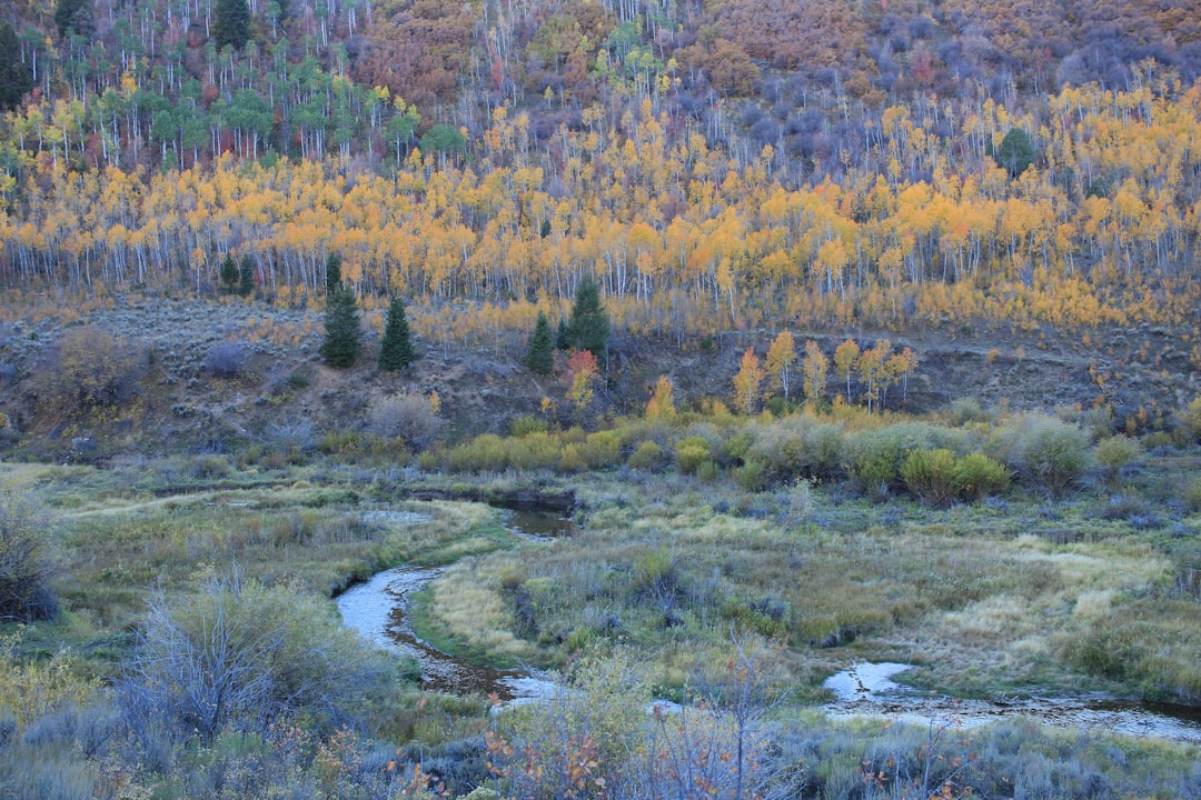 Wyoming land ownership records