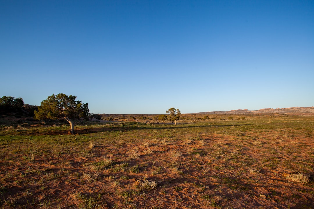 Sell Wyoming recreational land