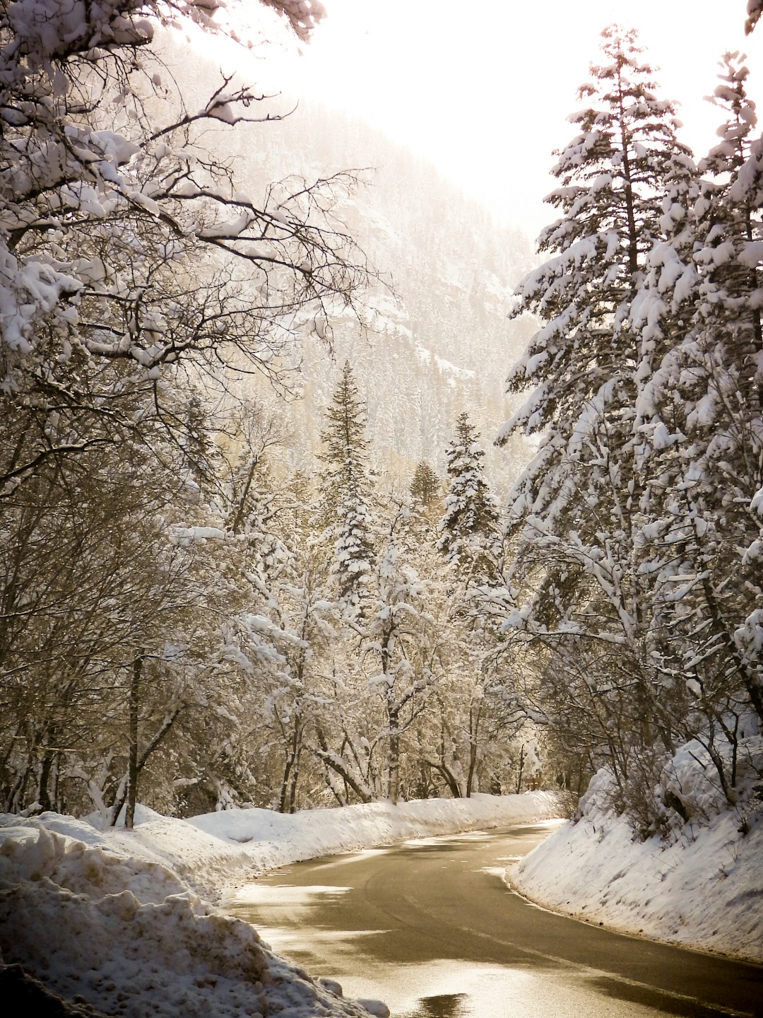 Quick cash for Montana land