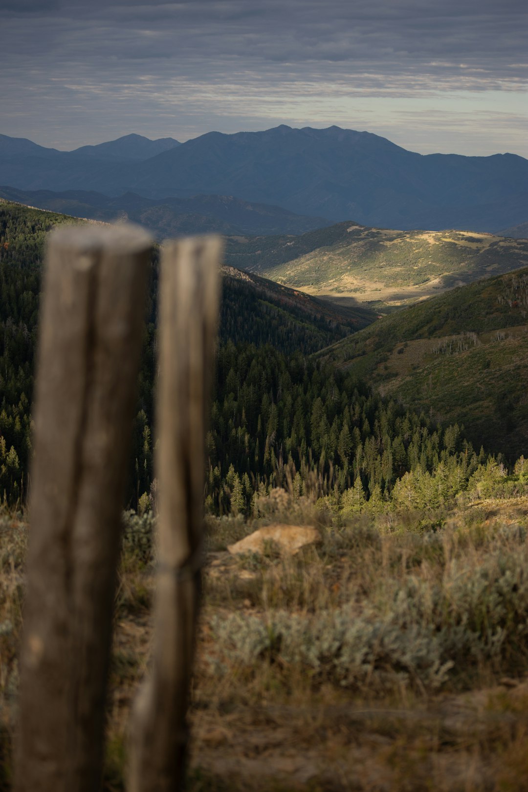 Sell Wyoming biodiversity