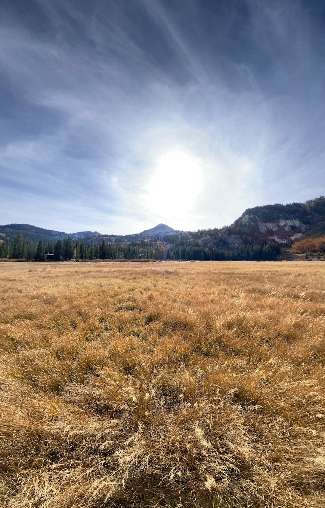 Nevada land surveyor