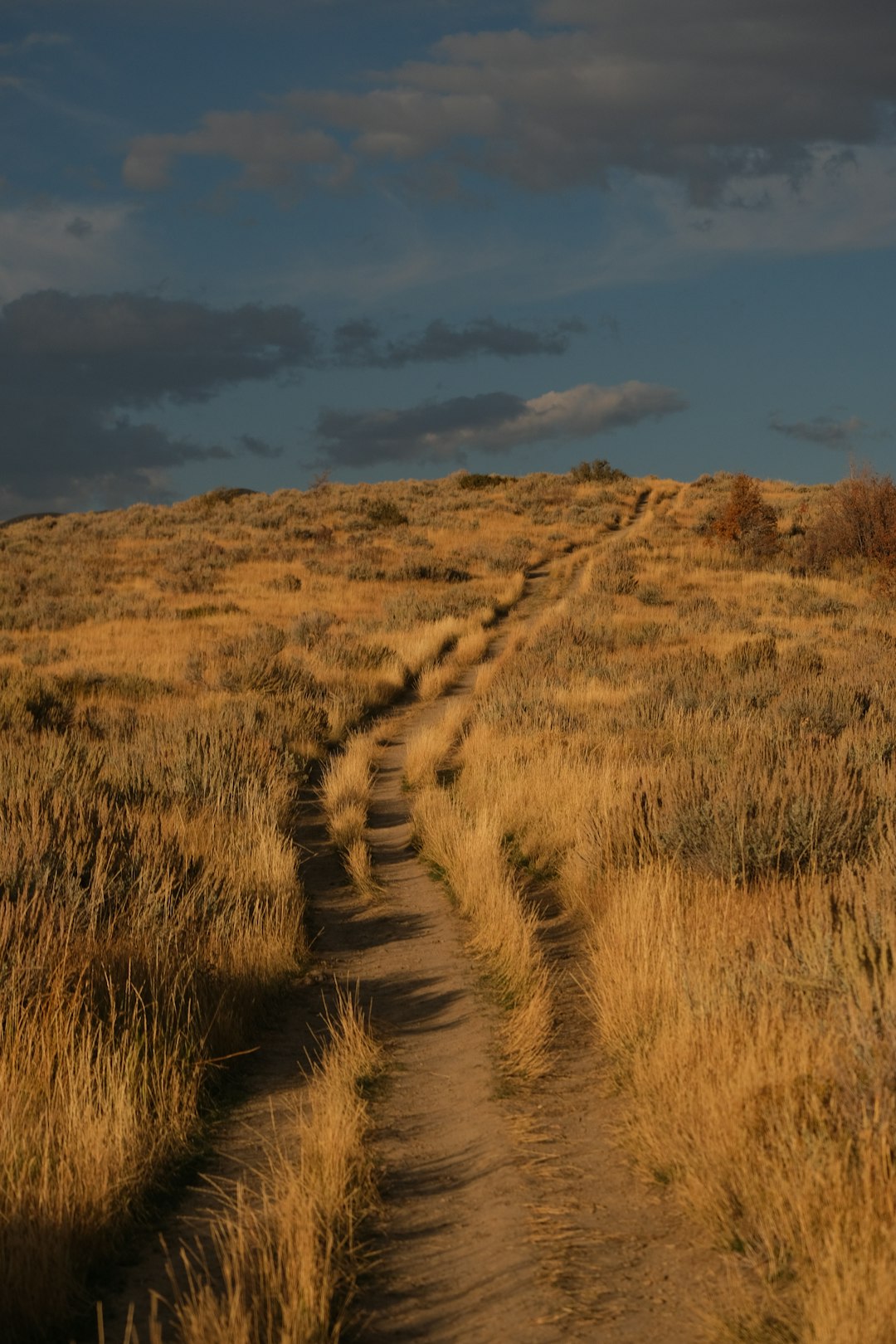 Sell Wyoming endangered species habitat