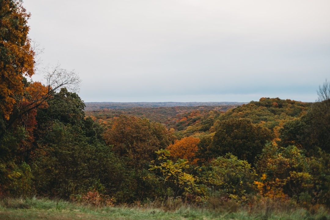 Indiana land cash offer fast