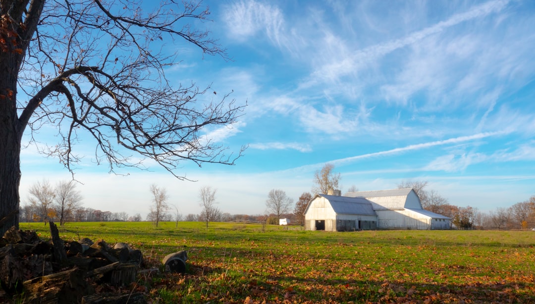 Indiana vacant land for sale