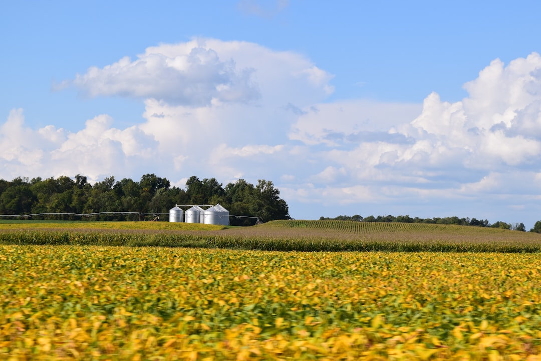 Buyers for Indiana acreage