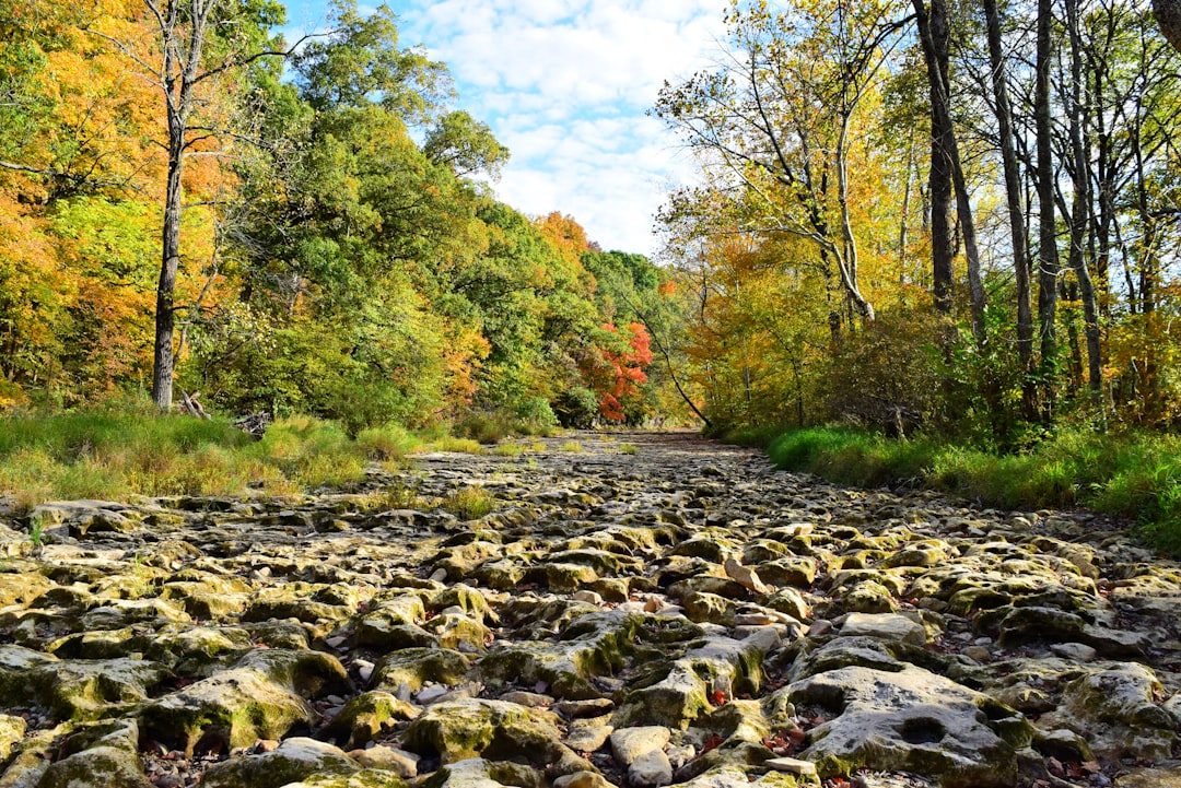 Cash buyers for land in Indiana