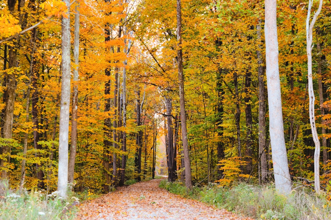 Sell Indiana farmland cash