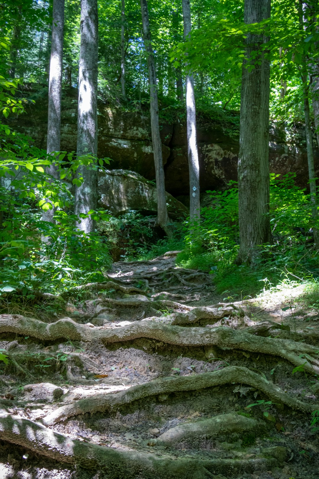 Washington farm land sell for cash