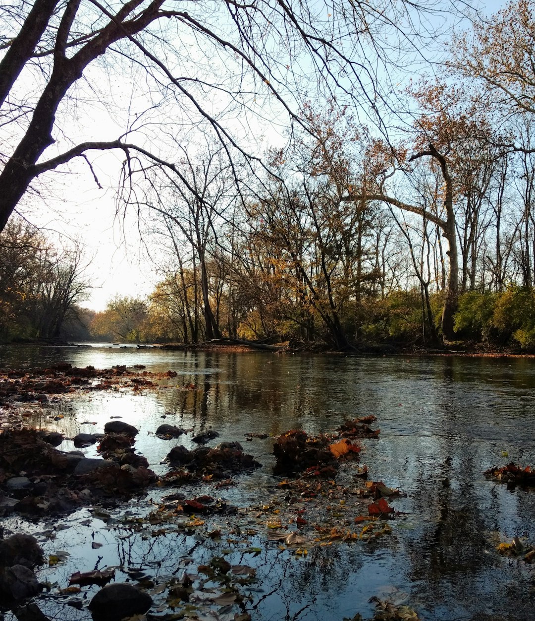 Indiana land selling for fast cash