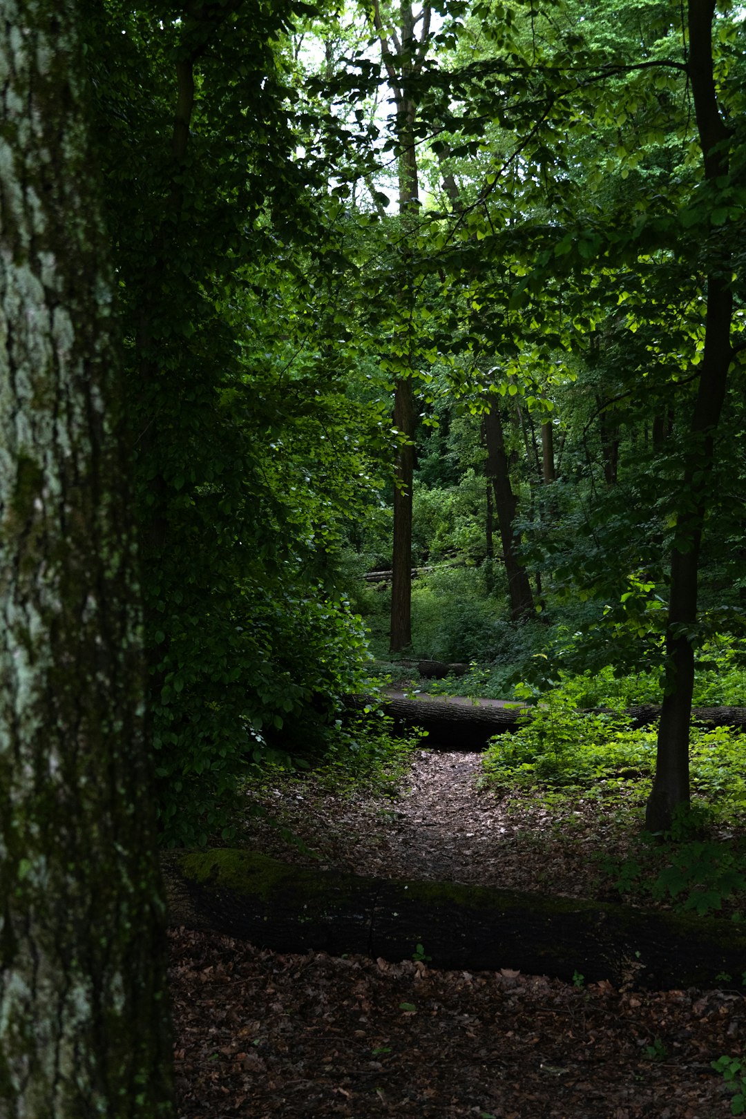 Indiana land sell for cash