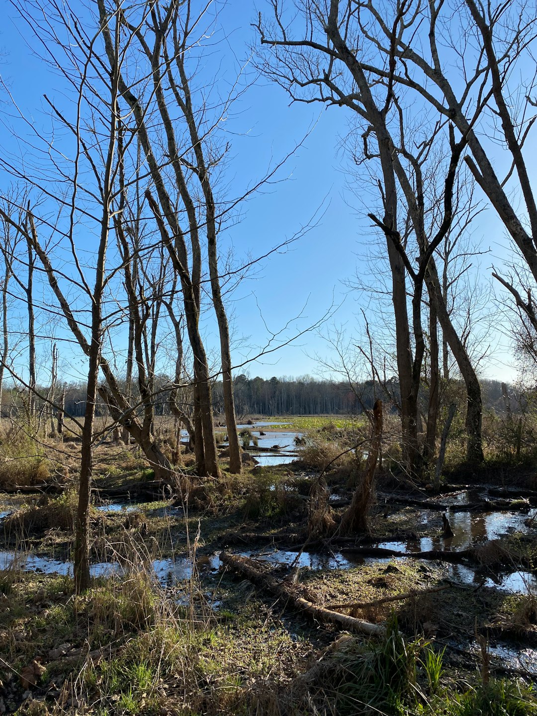 Washington rural land cash sale