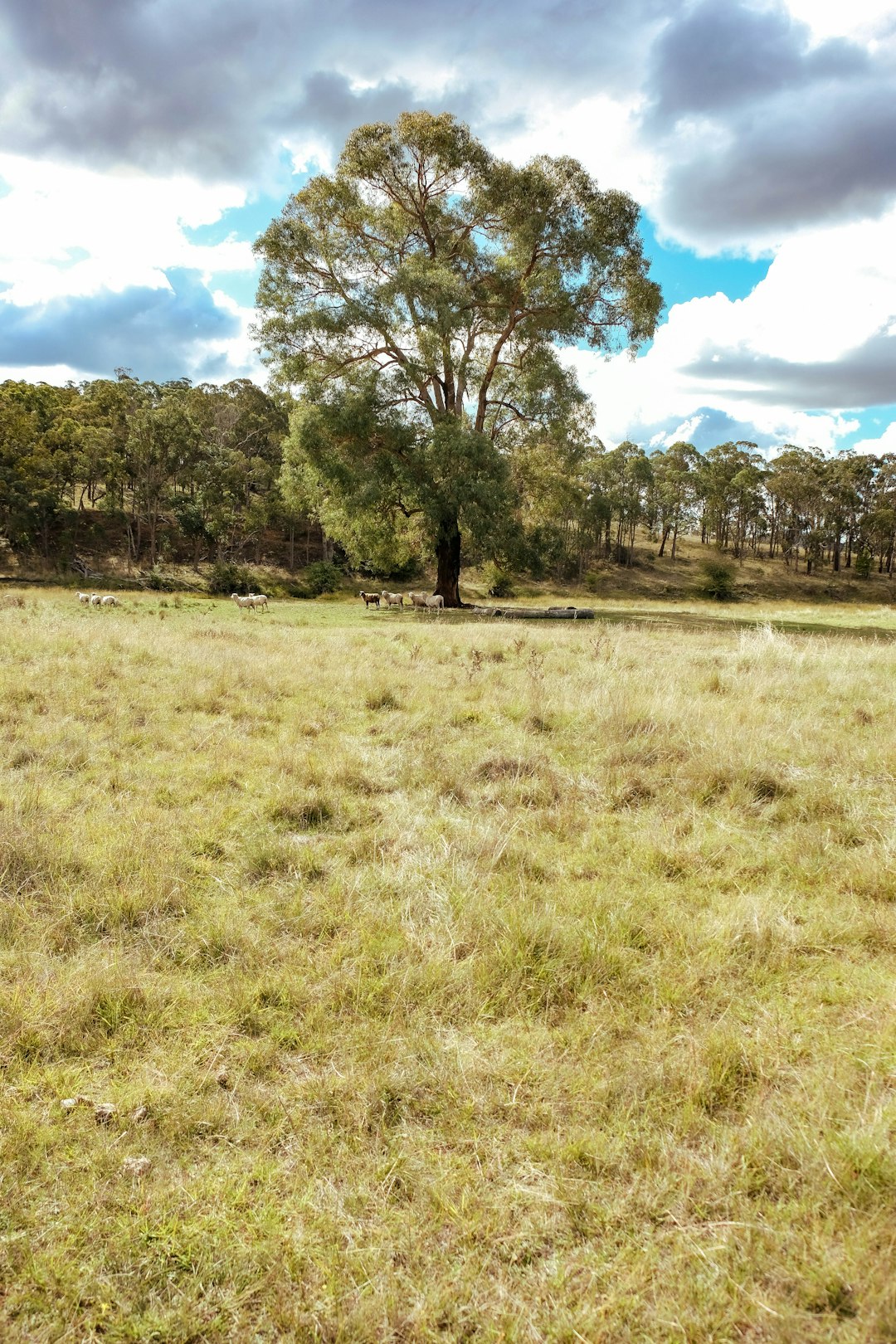 Sell Indiana farm land fast