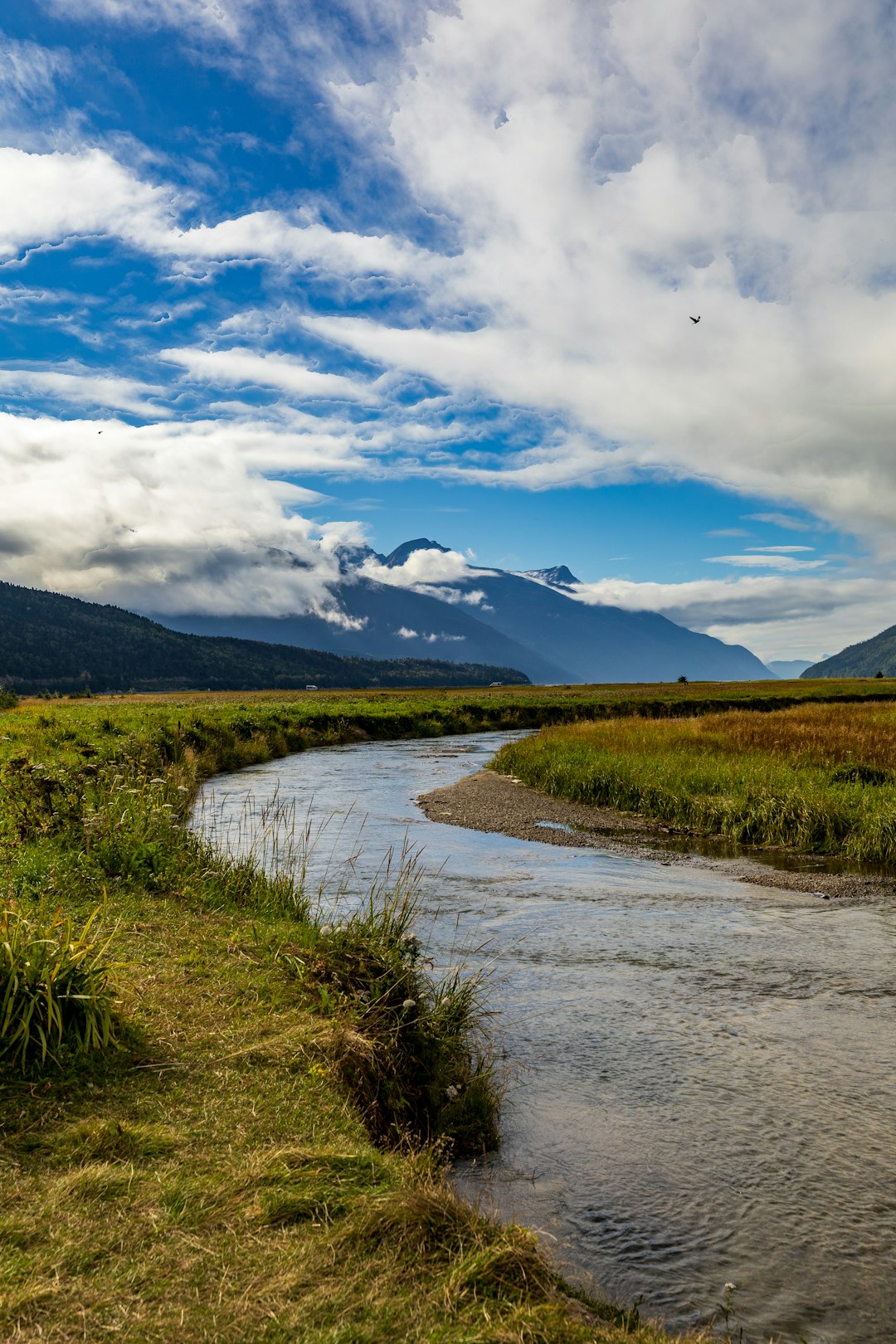 Buyers for Washington land cash