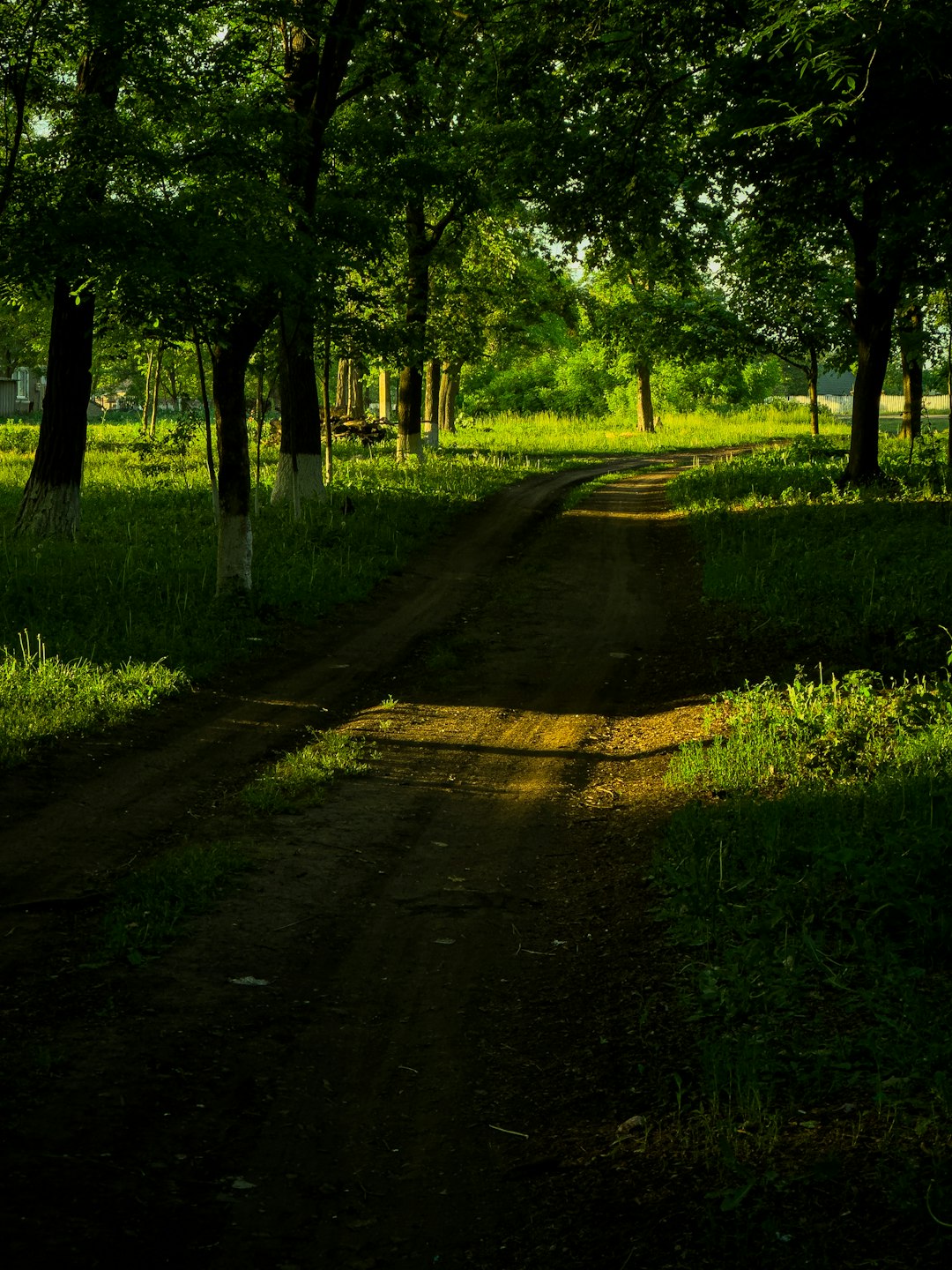 Washington vacant land for sale cash