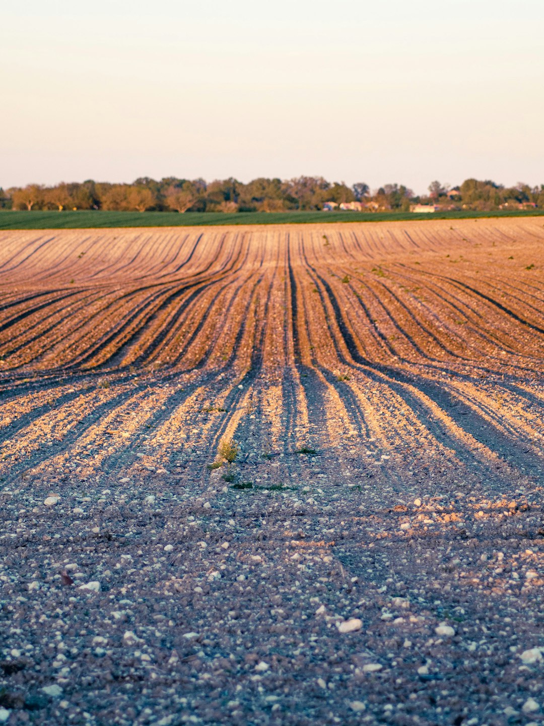 Indiana rural land cash sale