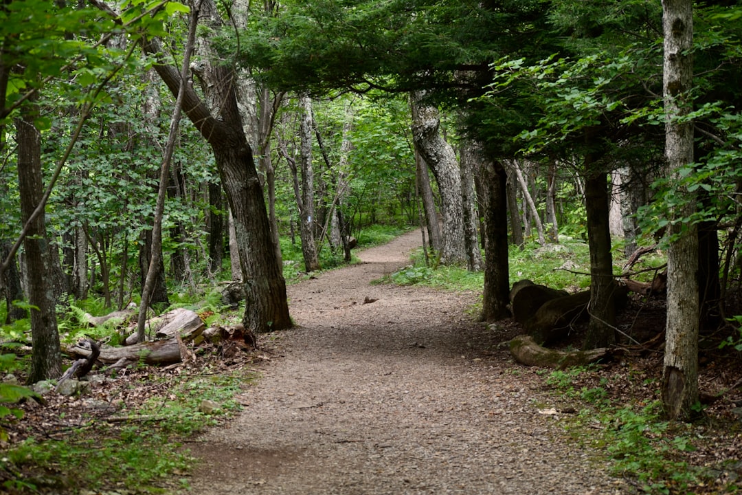 Best way to sell rural land for cash in MA