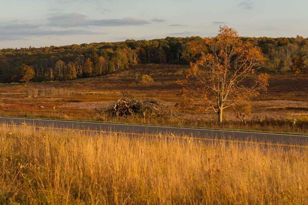 Sell North Carolina land fast