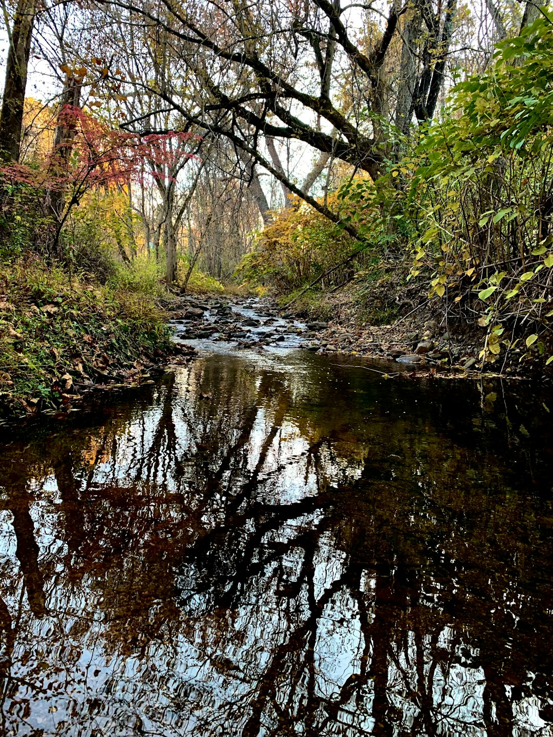 Cash for my Massachusetts wooded lot