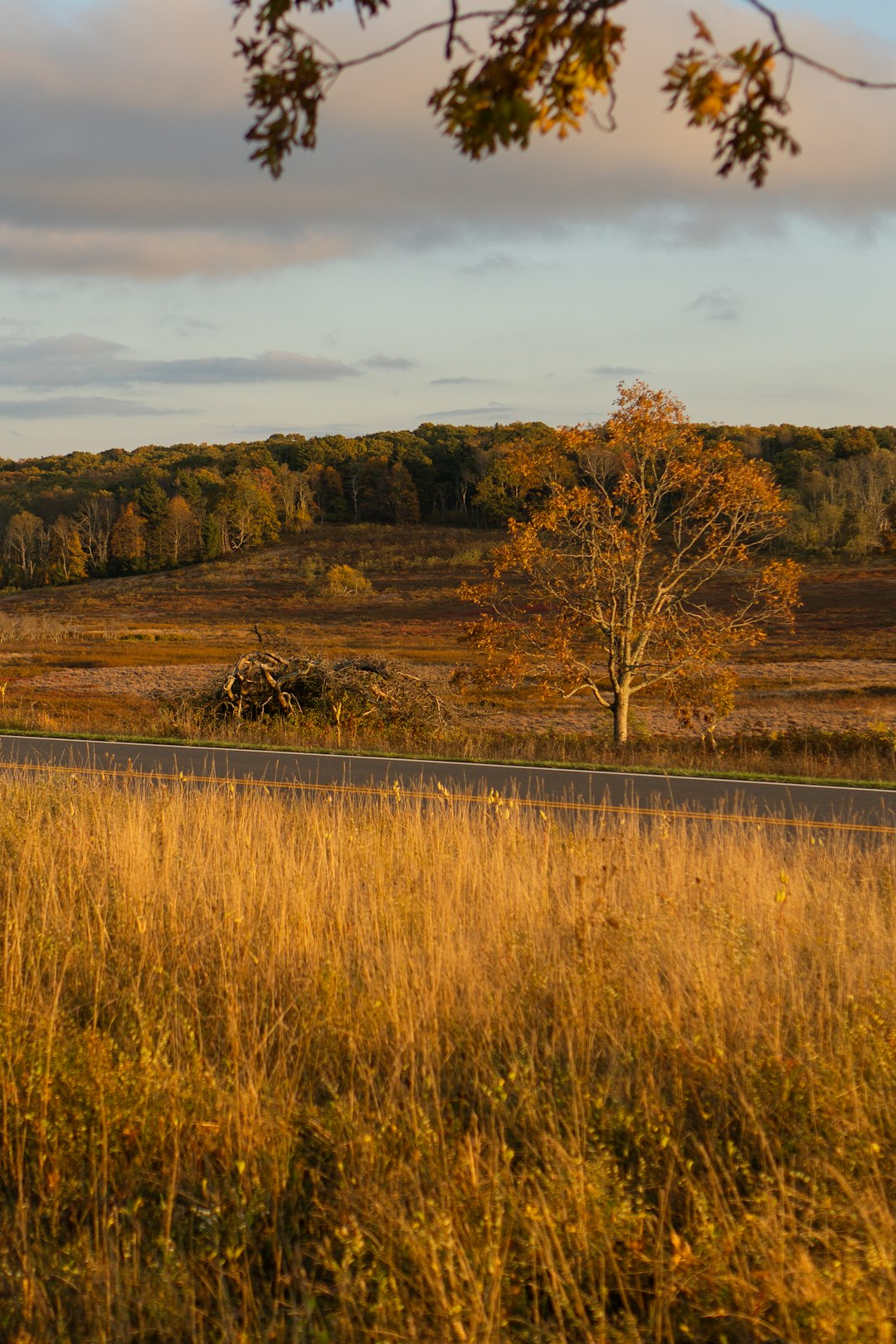 Closing on land sale in Minnesota