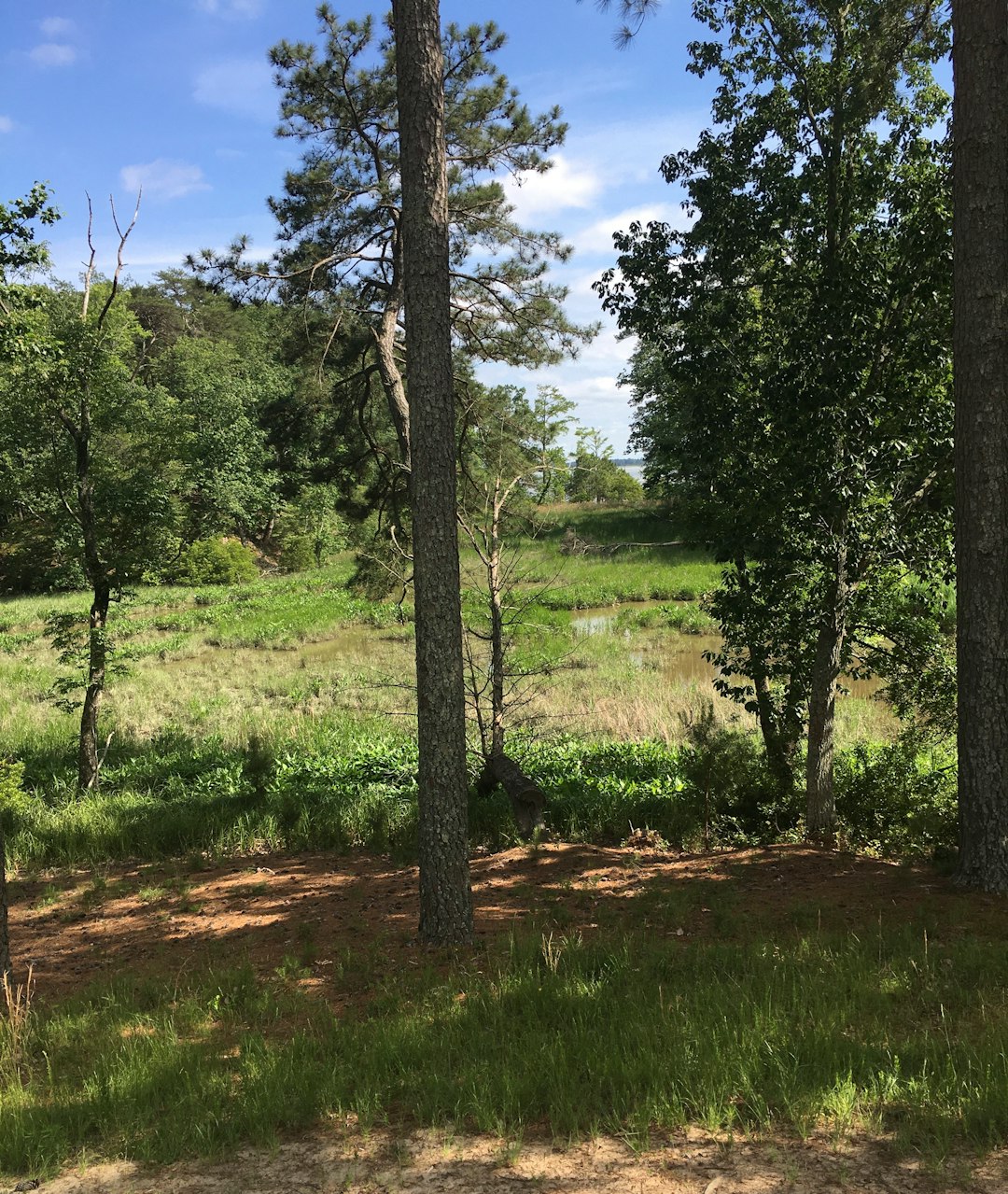 Minnesota land for sale with environmental benefits