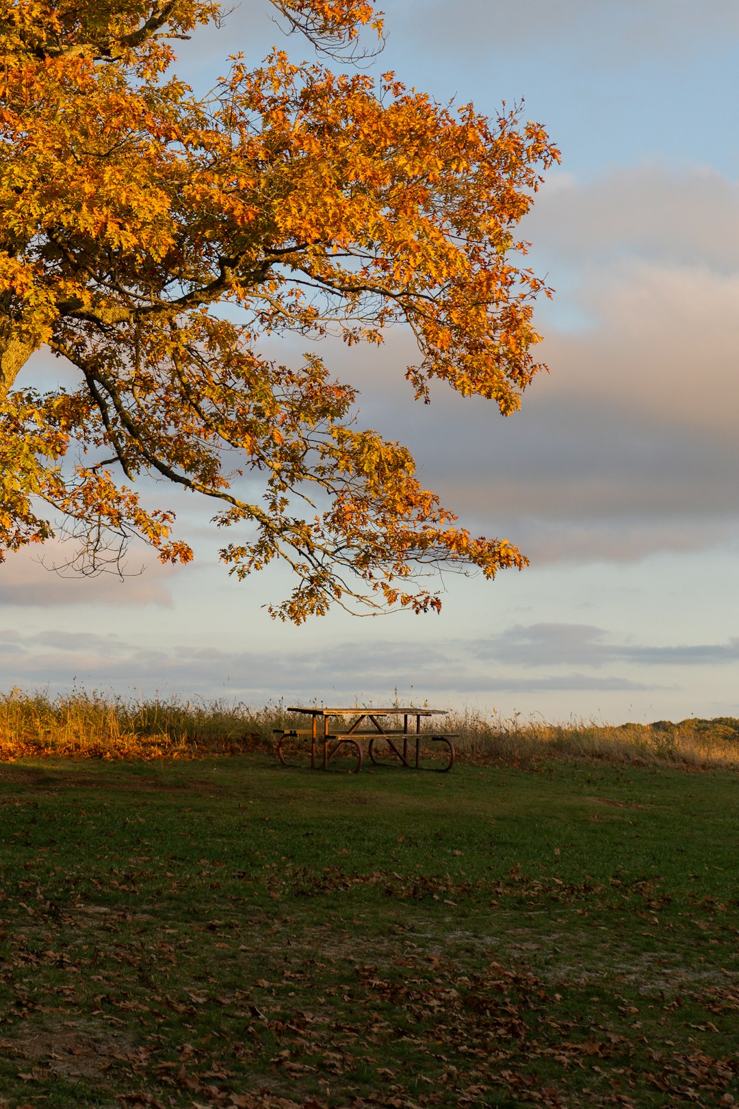 Minnesota land for sale with rural setting