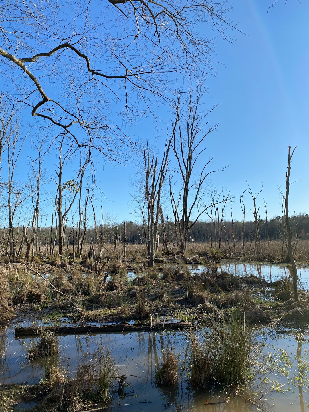 Discovering New york city's Diverse Landscape