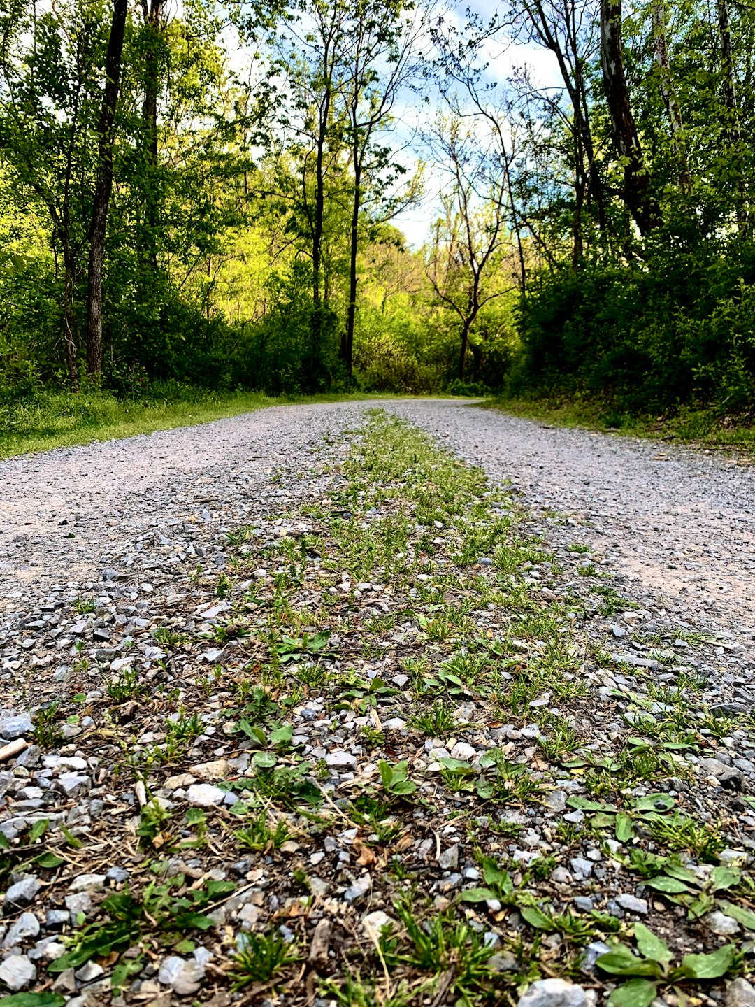 Discovering New york city's Diverse Landscape