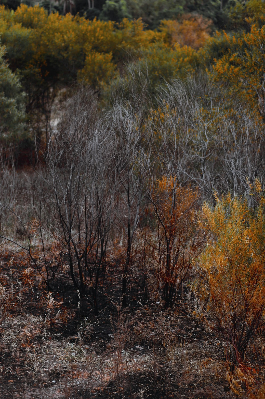 How to Prevent Common Mistakes When Marketing Pennsylvania Land