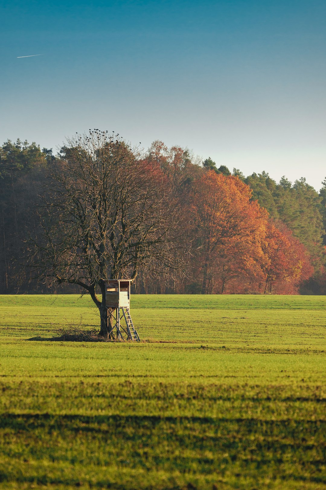 What is the worth of Pennsylvania land when selling for cash?