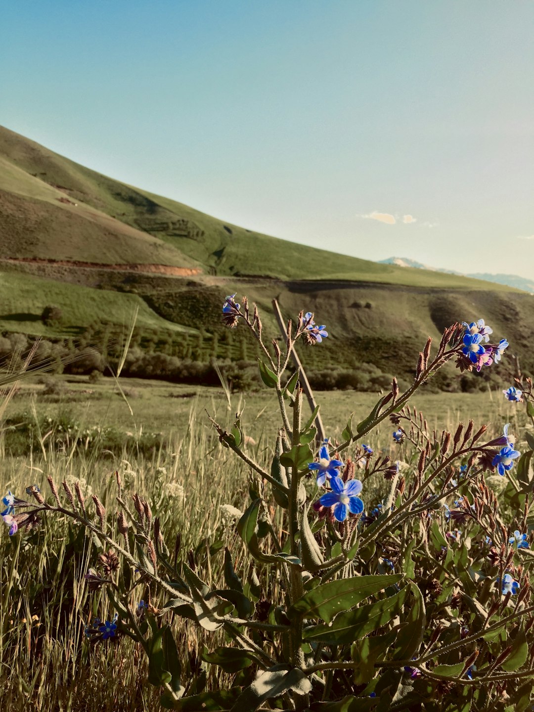How to Browse the Refine of Selling The Golden State Land for Cash
