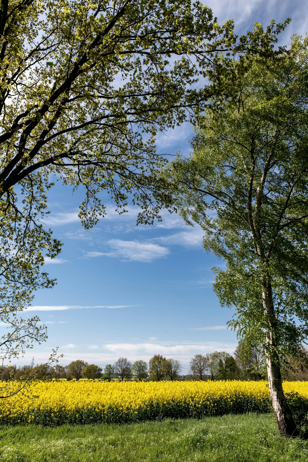 How to Sell Your The Golden State Land Promptly for Money
