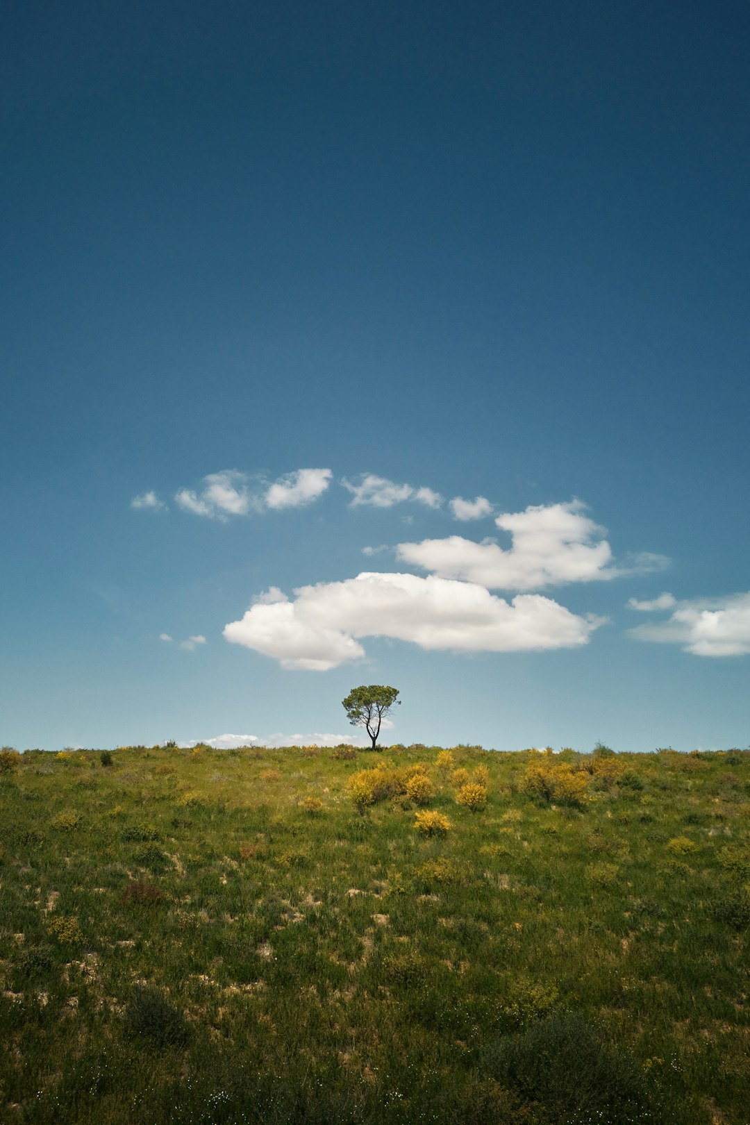 Usual Techniques for Valuing Land in Illinois