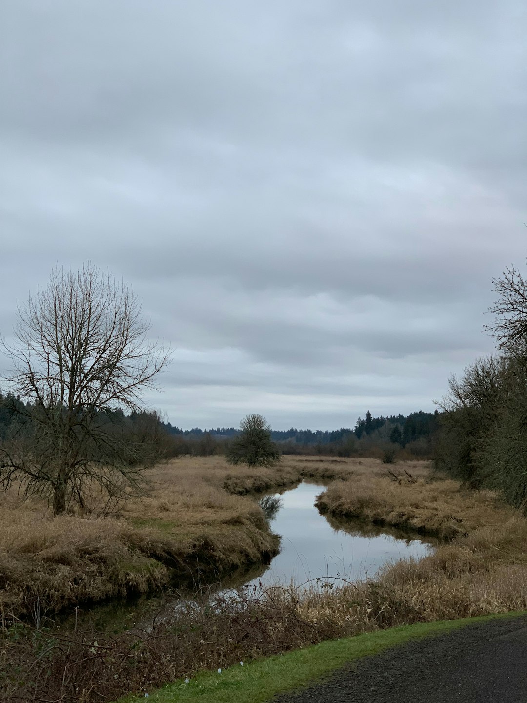 Prepping Your Land for a Quick Sale