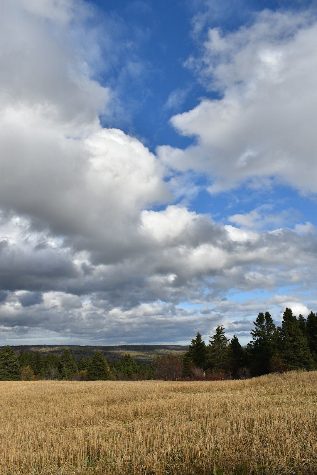 Buyer negotiations for Idaho land