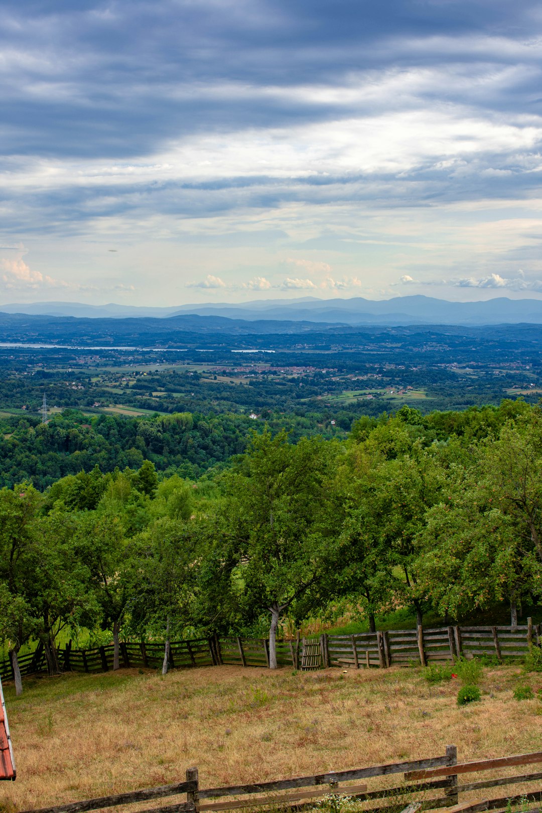 Translating Idaho's Realty Trends