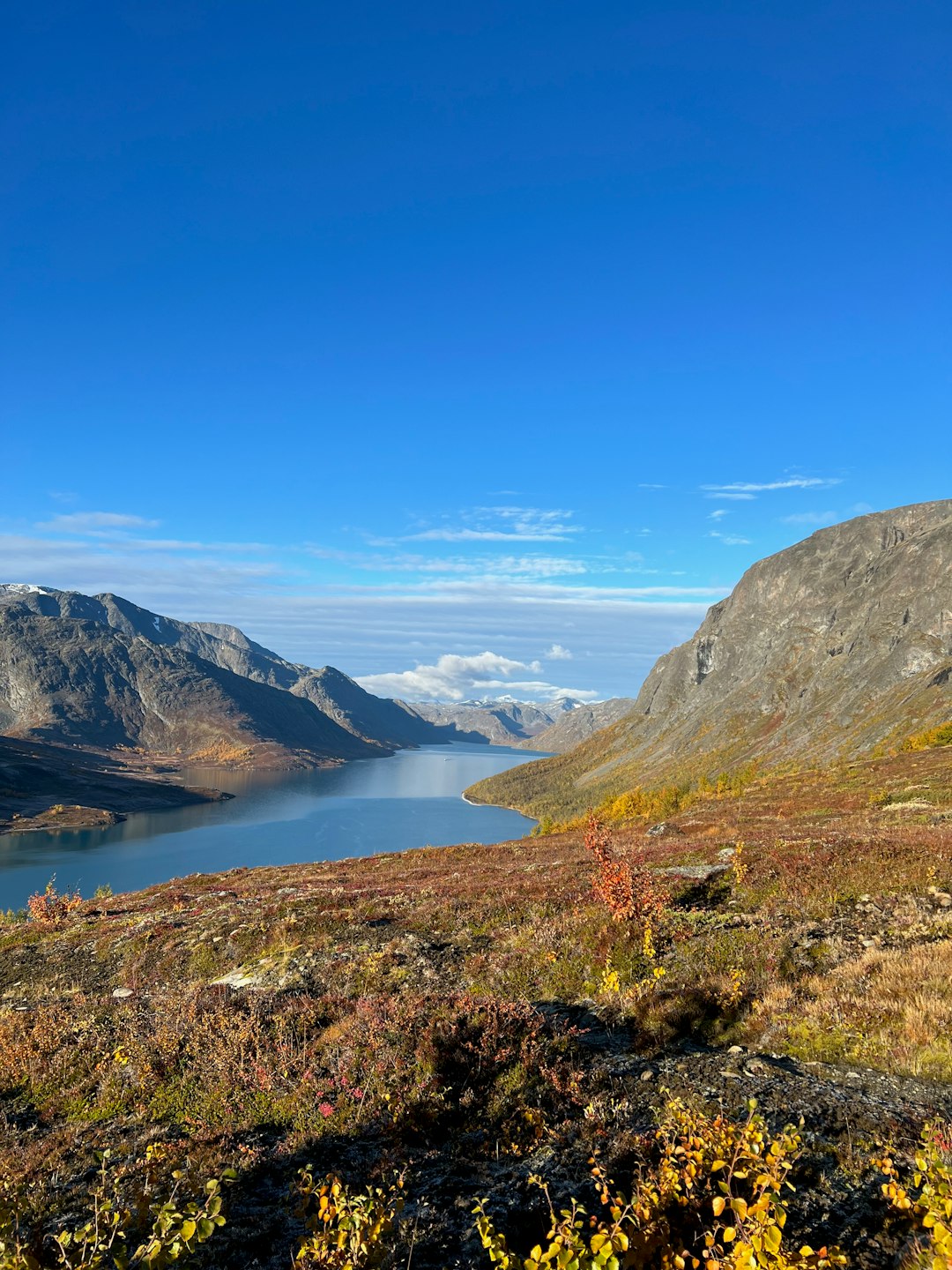 How to Browse the Process of Selling Idaho Land for Cash