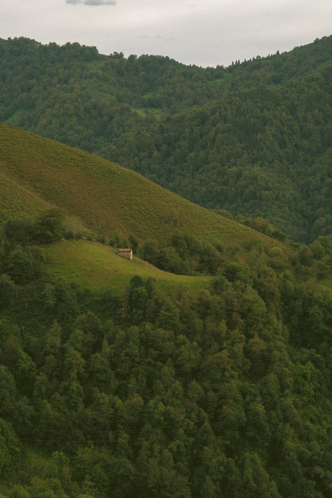 How to market your Oregon land properly for a quick sale