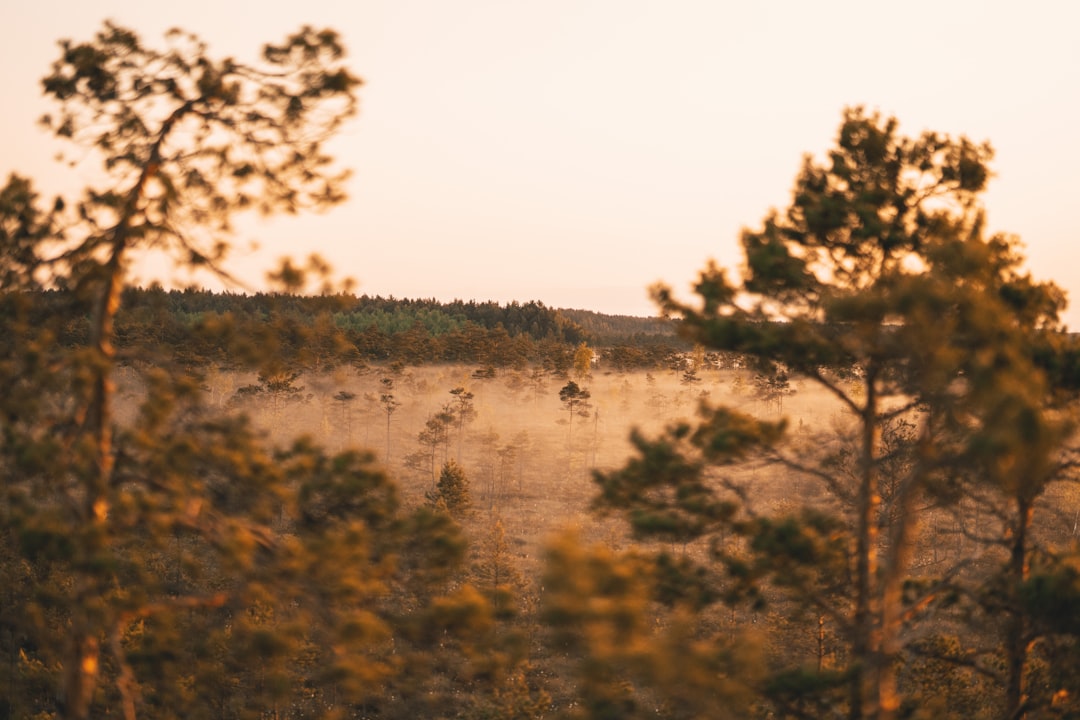 How to Unlock the Hidden Value of Wyoming Land and Sell It for Top Cash Offers!