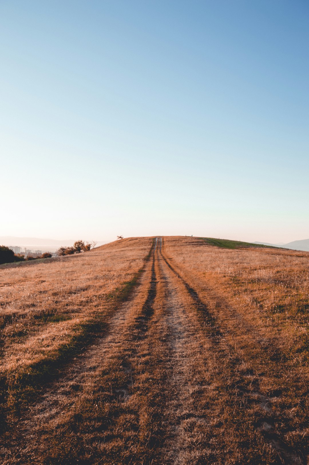 What is the value of Wyoming land when costing money?