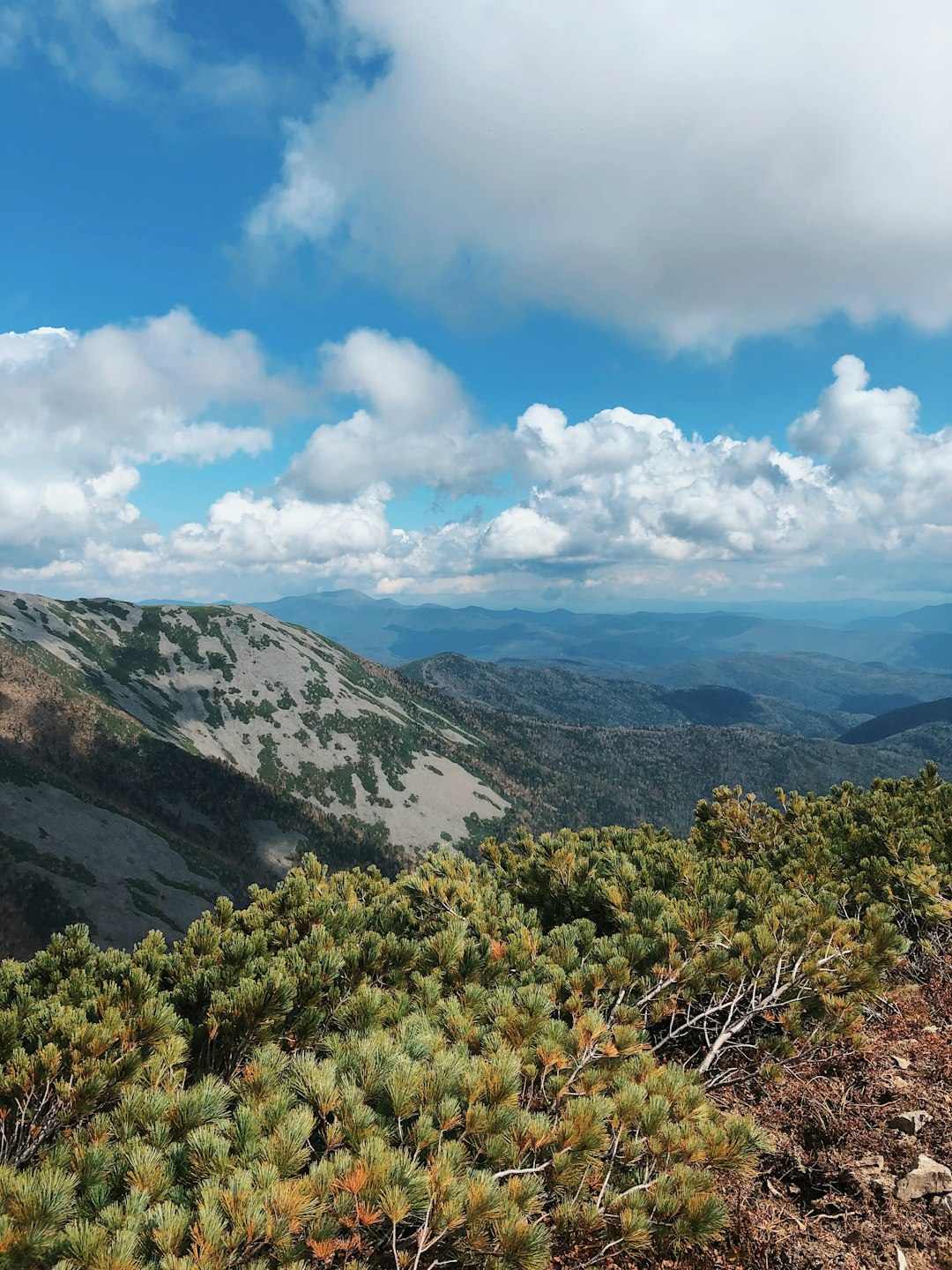 What is the worth of Virginia land when offering it for cash?