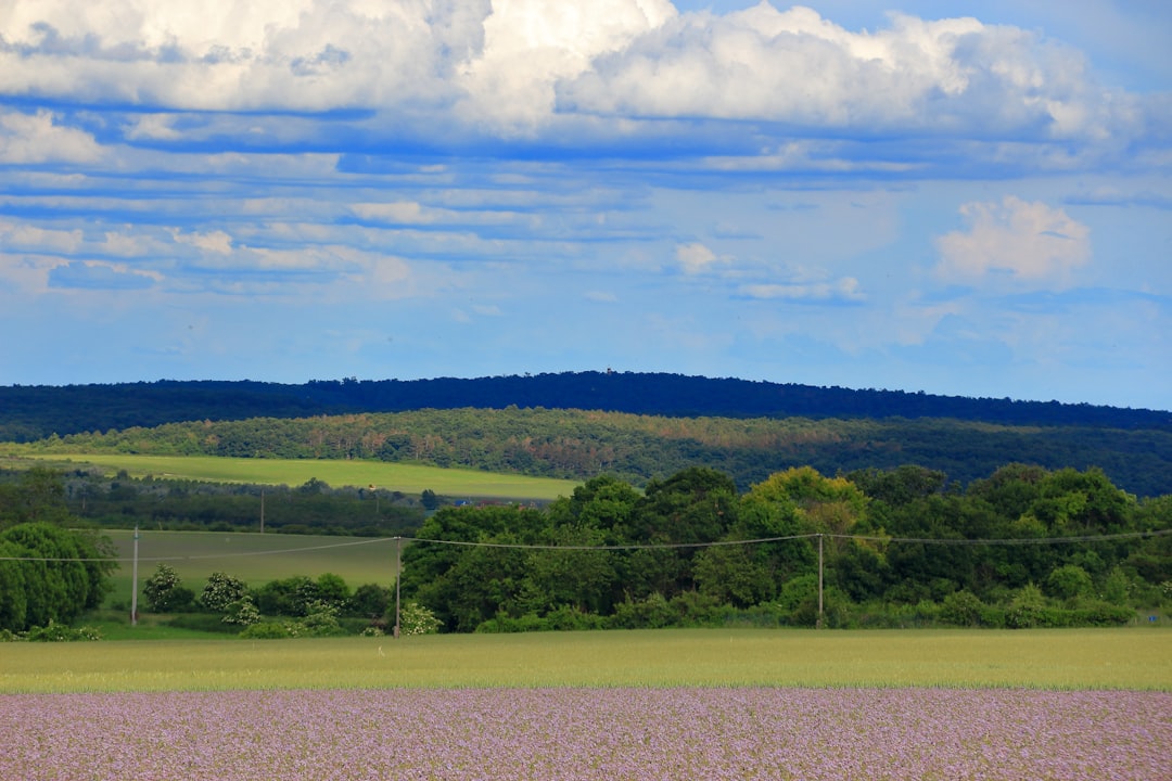 Marketing tactics for land sales