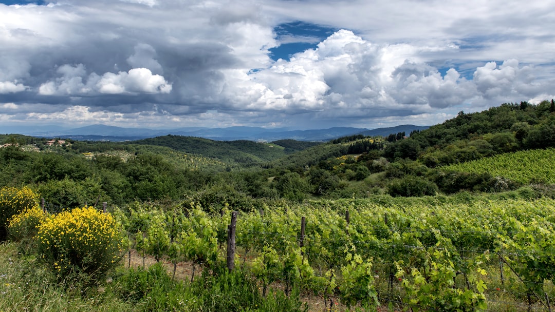 How to Unlock the Secrets of Selling Your Montana Land for Cash Quickly