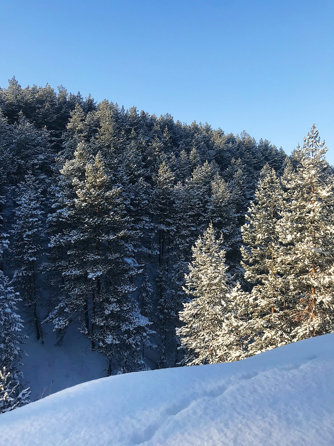 Advantages of Offering Montana Land for Cash Money