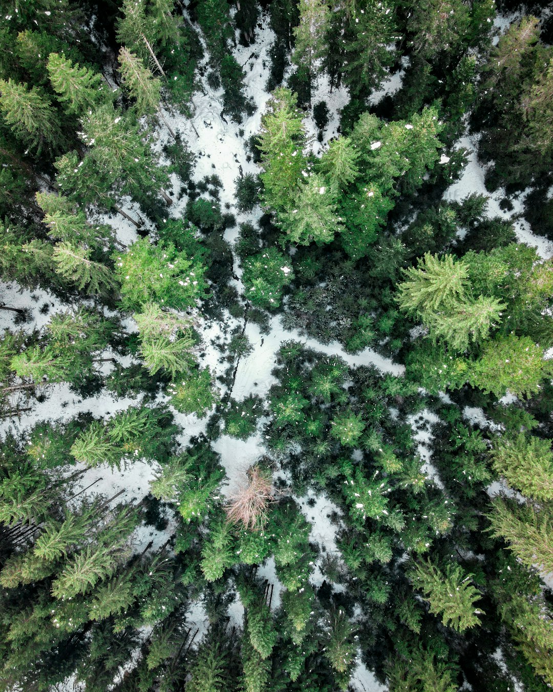 Exactly How to Price Montana Land for a Cash Money Sale