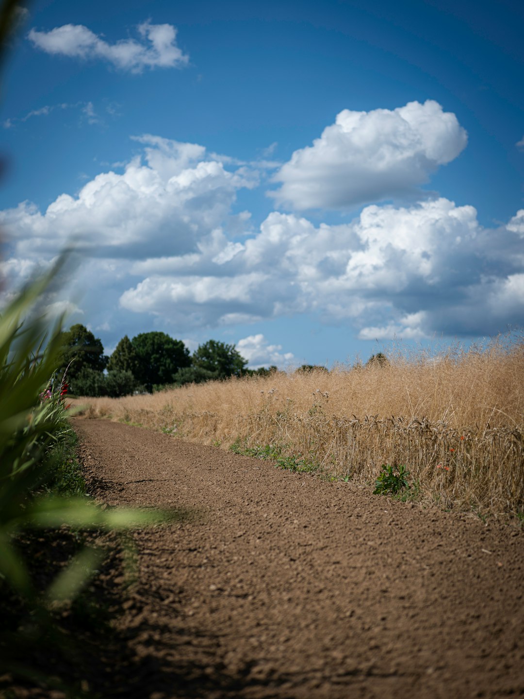 How to Market Indiana Land for a Quick Money Sale